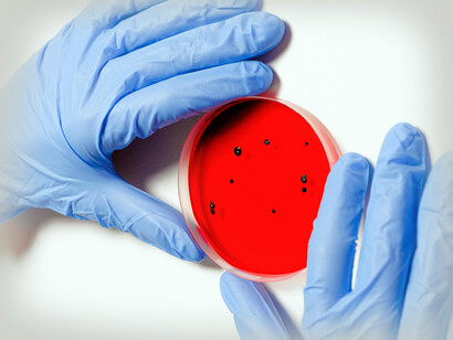 La ciencia juega un papel fundamental en el desarrollo social y económico de la humanidad