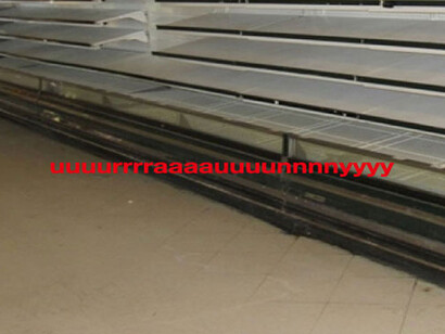 Uuuurrrraaaauuuunnnnyyyy. Courtesy of SNOW Contemporary 