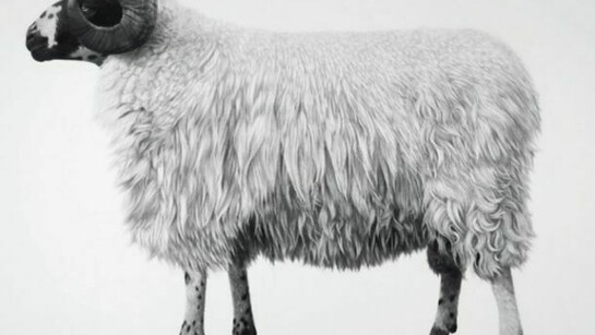 Jonathan Delafield Cook, Rough Fell, 2013, charcoal and conté on primed linen 100 x 130 cm