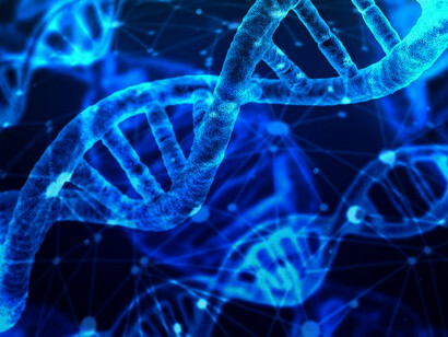 DNA ancestry test is a new way for individuals interested in the family background (genealogy) or ethnic characteristics to obtain relevant information