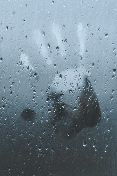 Muertes violentas de mujeres por razones de género