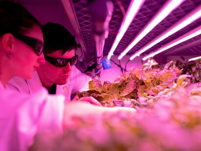 A scientist standing in a laboratory, analyzing food samples for eco-friendly production