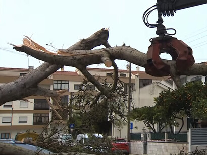 Una de las frases que caló profundamente en la población fue precisamente la del primer ministro Luís Montenegro, quien dijo en días posteriores a la catástrofe: “aquellos que no evitaron la trágica consecuencia de perder la vida”. Lisboa, março 2026, Portugal