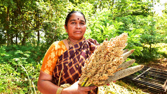 Lakshmamma of Deccan Development Society, south India - low energy use millet farming that is climate friendly @ Ashish Kothari 