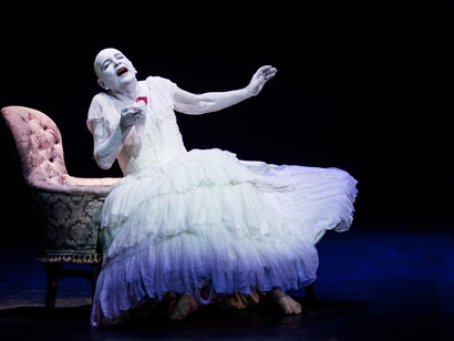 Ricordi di una Traviata