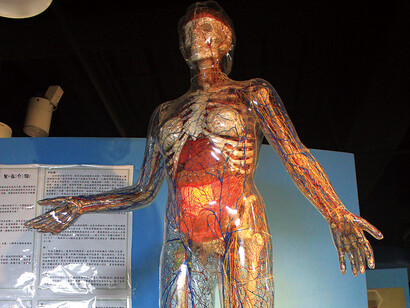 Mysteries of Life. Courtesy of National Taiwan Science Education Center