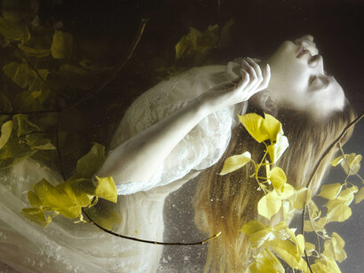 Foglie gialle - Foto di Mira Nedyalkova