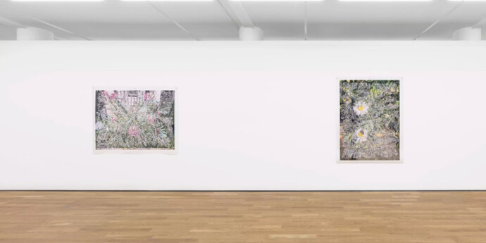 Travess Smalley. Courtesy of Foxy Production