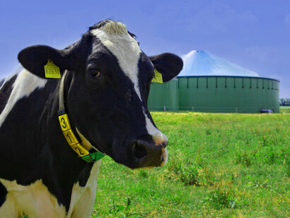 Il biogas è una delle fonti alternative più utilizzate per la produzione di energia rinnovabile