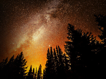 Constelación vista desde la oscuridad de un bosque en Nueva Inglaterra, Estados Unidos