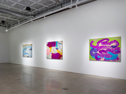 Monique van Genderen, Paintings, 2023, photo by Brian Lockhart. Courtesy of Quint Gallery