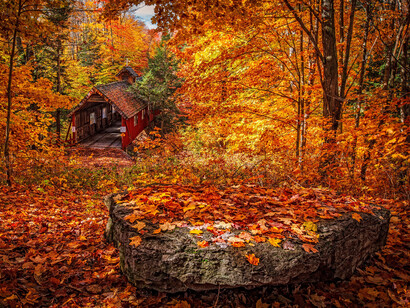 En Occidente, vemos que el hemisferio cerebral izquierdo controla al derecho