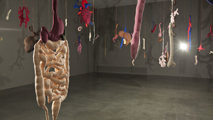 Annette Messager, Pénétration, dettaglio installazione