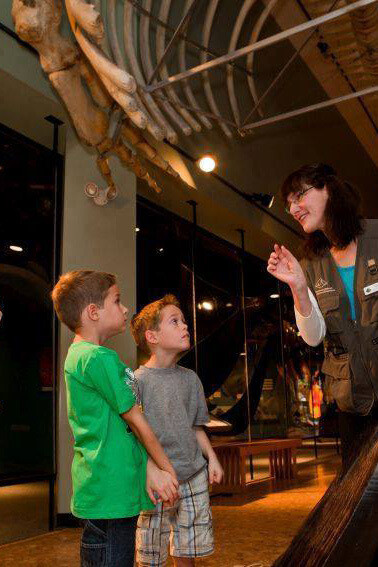 Hall of Great Whales. Courtesy of New Brunswick Museum