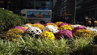 Espléndido y hermoso Manhattan. Nueva York, EE.UU.