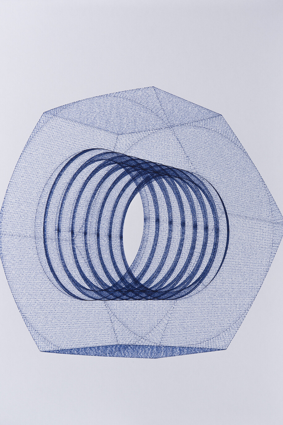 Michael DeLucia, Nut, 2014, Dessin analogique, Plotted drawing, ink on paper, 67,6 x 52,6 x 3 cm encadré (26 5/8 x 20 3/4 x 1 1/8 in.) framed, Courtesy Michael DeLucia & Galerie Nathalie Obadia Paris / Brussels © We Document Art