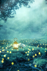 A night forest of trees, with the glow worms