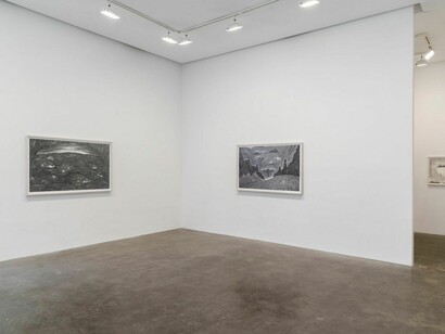 ROBYN O’NEIL: THE GOOD HERDInstallation View, 2017, Susan Inglett Gallery, NYC