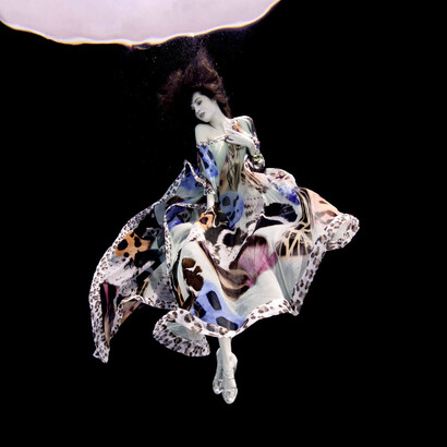 Michael Dweck and Howard Schatz, Underwater study  (Estudo subaquático) 