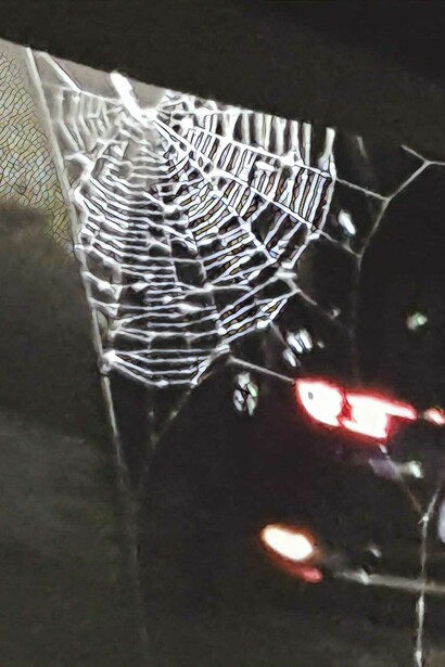 Un ragno, sotto un lampione tesse la sua tela