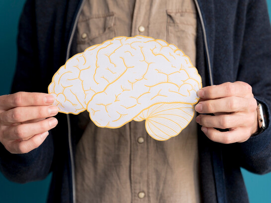 Brain development isn’t just about growth: it’s about refining connections based on experience