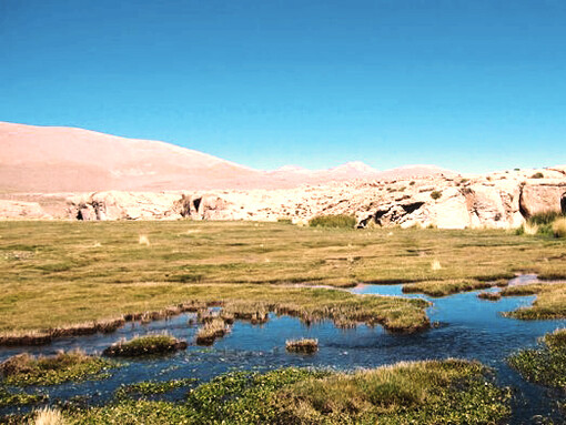 La controversia sobre la situación y la utilización de las aguas del Silala fue un diferendo entre el Estado Plurinacional de Bolivia y la República de Chile sobre el estatus y usos de las aguas del Silala