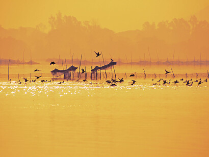 Shimmering Chilika © Karthik Janakiraman