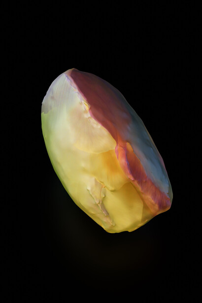 Seeds. Reclaiming roots, sowing futures. Mit freundlicher genehmigung des Kunst Haus Wien