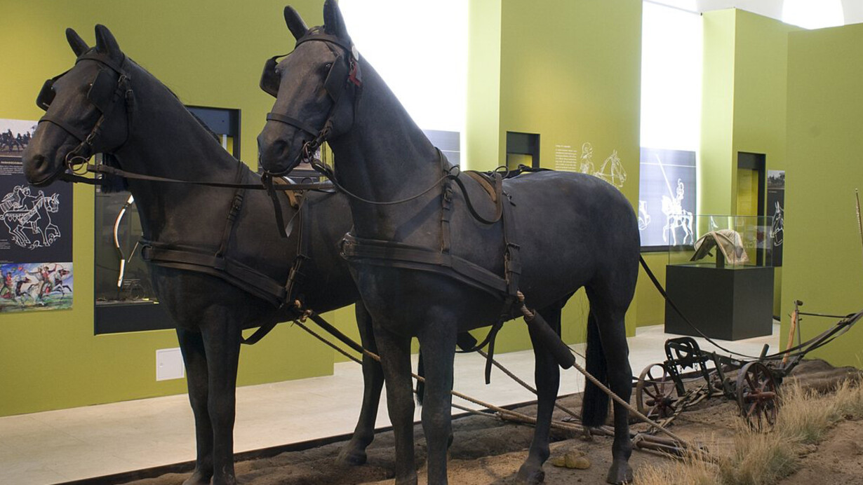 The Horse. Courtesy of Museum and Library of Hungarian Agriculture