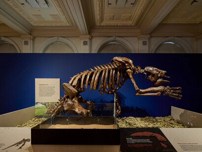 Giants, exhibition view. Courtesy of Birmingham Museum and Art Gallery