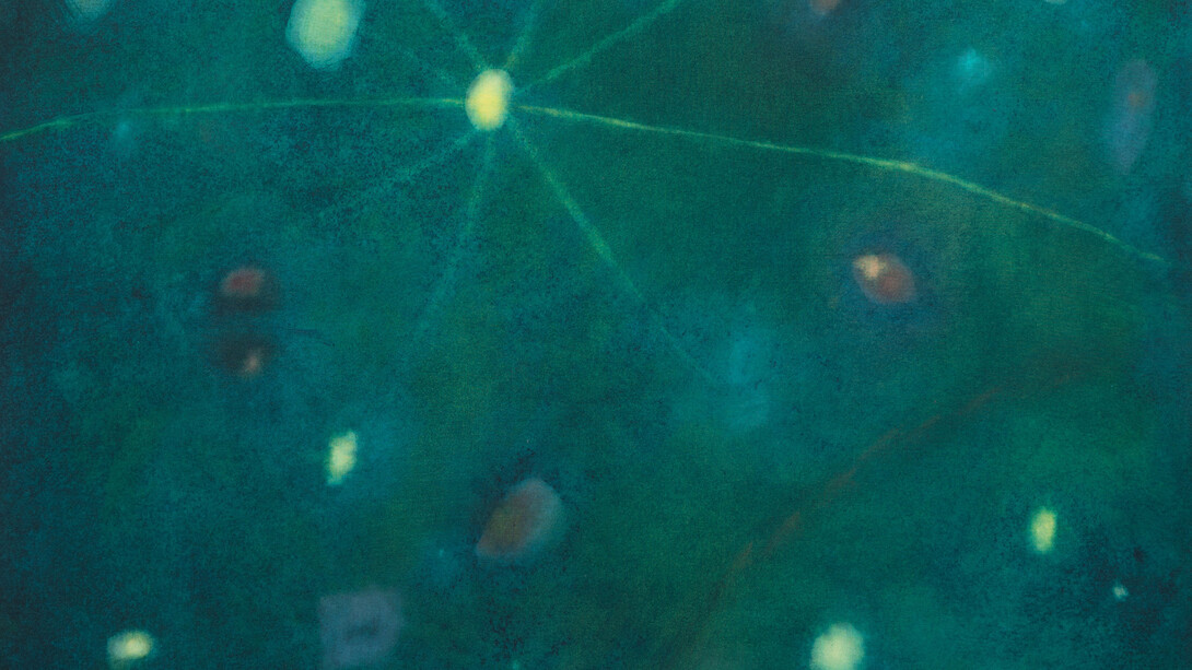 Loren Erdrich, Arc I (detail), 2026. Courtesy of Shrine 
