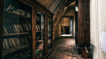 La casa continuaba idéntica, aunque el río la había cercado un poco más, y las glicinas, sin permiso, habían empezado a trepar hasta el techo