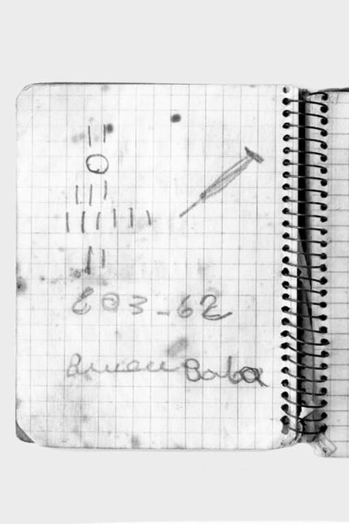Yto Barrada. Courtesy of Calouste Gulbenkian Museum