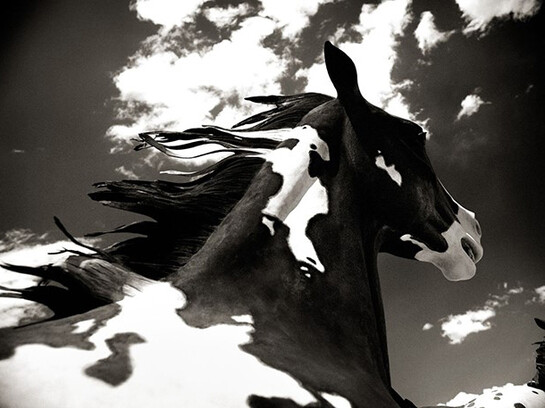 Benjamin Heller, "Cloud Horse", 2014 