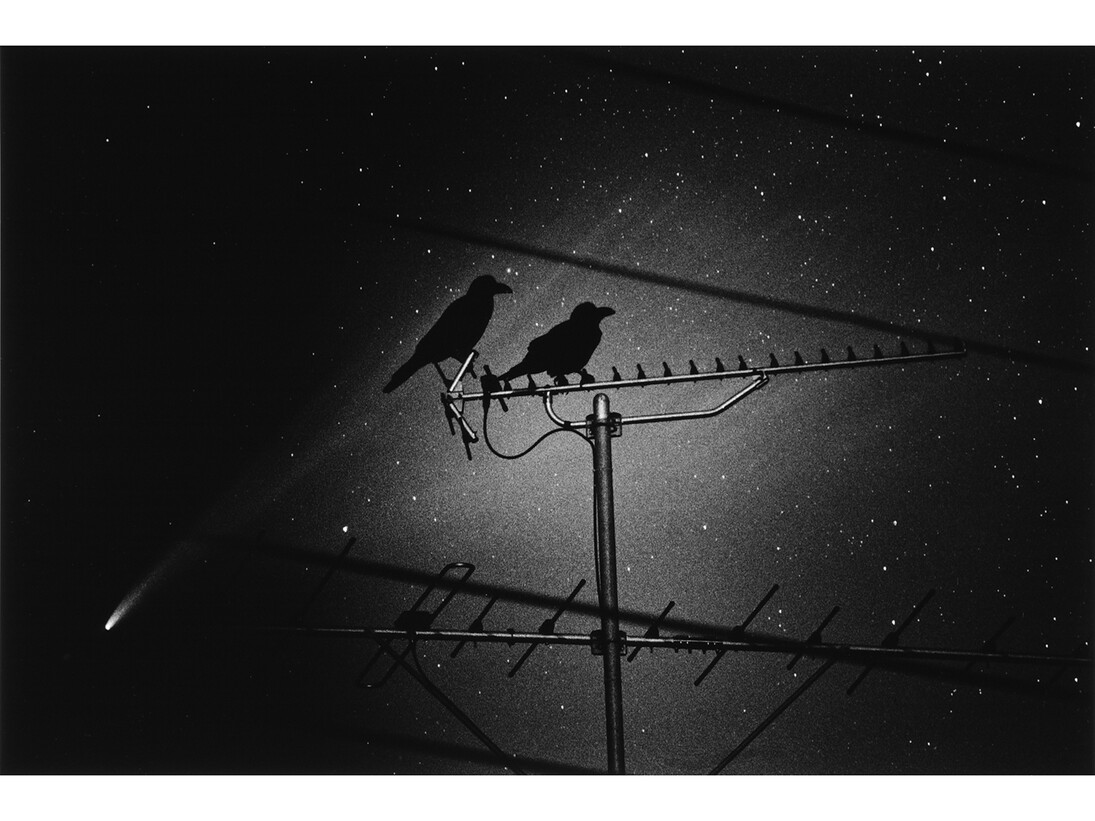 Kikuji Kawada, Die Ganze Stadt, Zeno & Kiki, 1995 © Kikuji Kawada. Courtesy Michael Hoppen Gallery