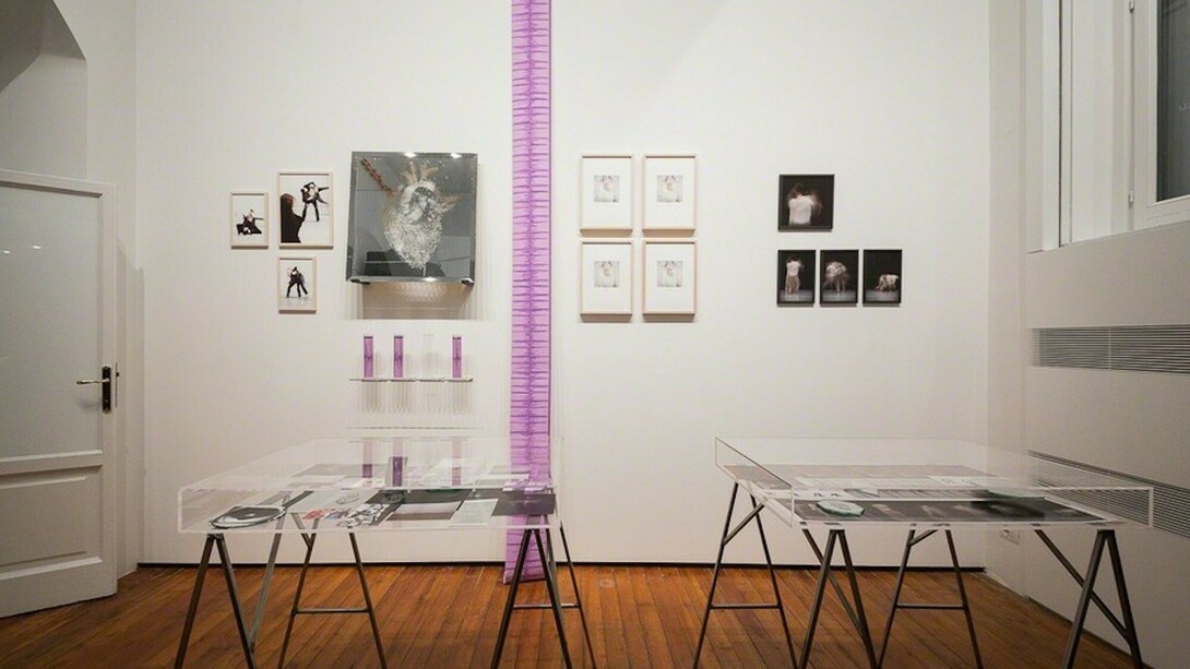 Maria Elisabetta Novello. Sursum Corda, Exhibition view. Courtesy of Galleria Fumagalli