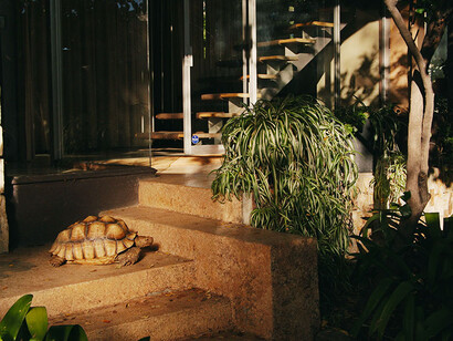 Ben Thorp Brown. Courtesy of Jeu de Paume
