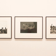 El Paisaje Reconfigurado. Courtesy of Centre Botín