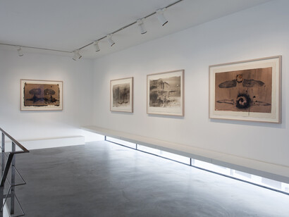 Michael DeLucia, La Pomme de Terre du Ciel, exhibition view, Courtesy Michael DeLucia & Galerie Nathalie Obadia Paris / Brussels © We Document Art