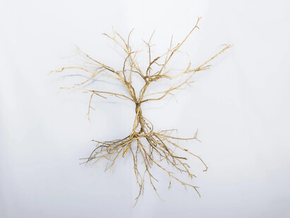 Edo Costantin, Winter solstice: seeds of nothingness, exhibition view. Courtesy of Praxis