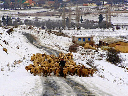 Morocco landscape in winter