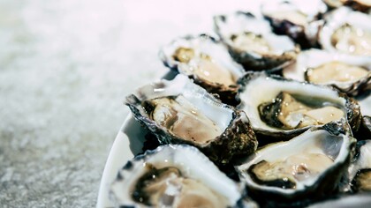 Freshly shucked oysters glisten on a cold plate, evoking the briny depth of Lowcountry tradition