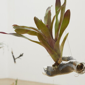 Daniel Steegmann Mangrané. Courtesy of Esther Schipper