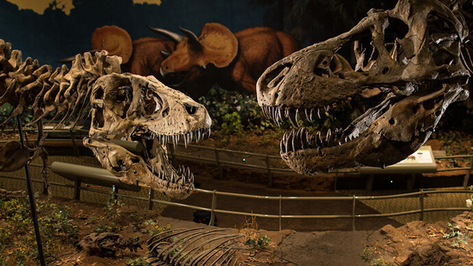 Dinosaurs in their Time. Courtesy of Carnegie Musuem of Natural History