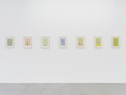 Sarah Pillen, From the field, vue de l'exposition. Avec l'aimable autorisation de la Galerie Hopstreet
