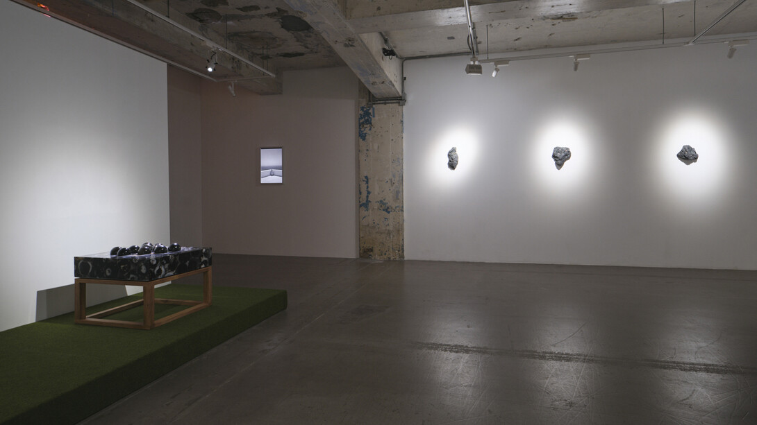 Trevor Yeung, Swallowing rumination, gracefully, exhibition view. Courtesy of Blindspot Gallery