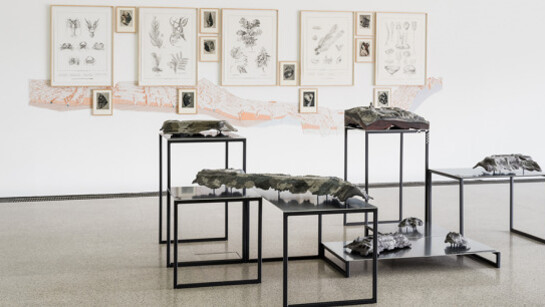 Natural Histories, Exhibition view. Courtesy of Mumok 