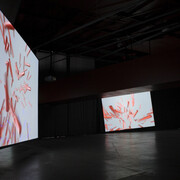 Peter Struycken. Courtesy of Groninger Museum