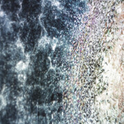002. Courtesy of Whitestone Gallery
