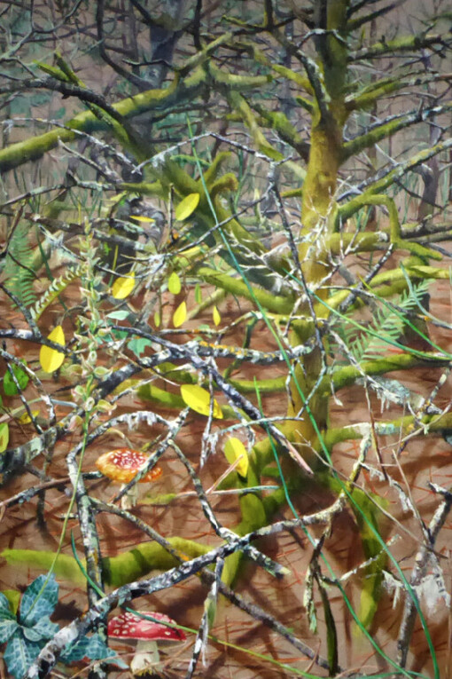 Wild Flowers. Courtesy of Eleanor Harwood Gallery